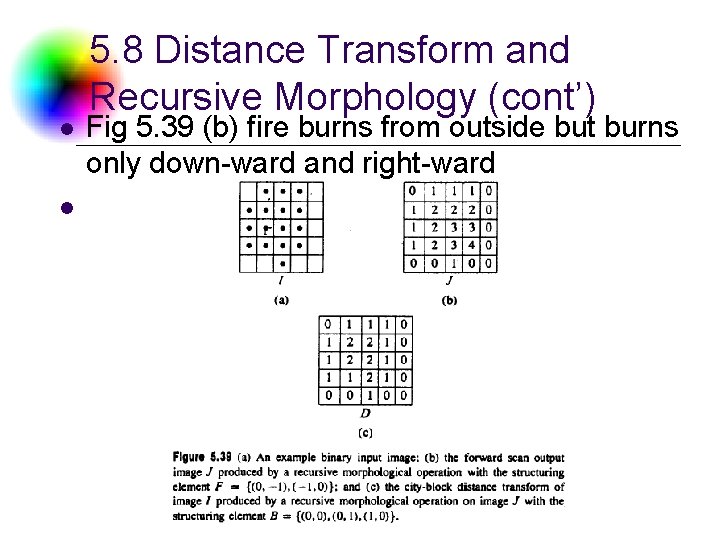 l 5. 8 Distance Transform and Recursive Morphology (cont’) Fig 5. 39 (b) fire