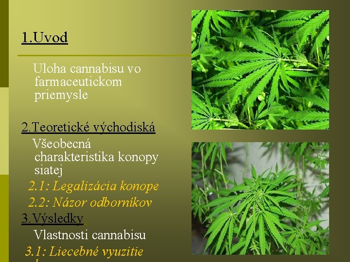 1. Uvod Uloha cannabisu vo farmaceutickom priemysle 2. Teoretické východiská Všeobecná charakteristika konopy siatej