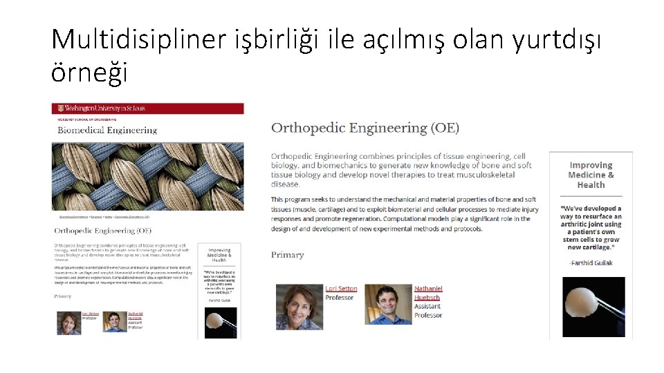 Multidisipliner işbirliği ile açılmış olan yurtdışı örneği 