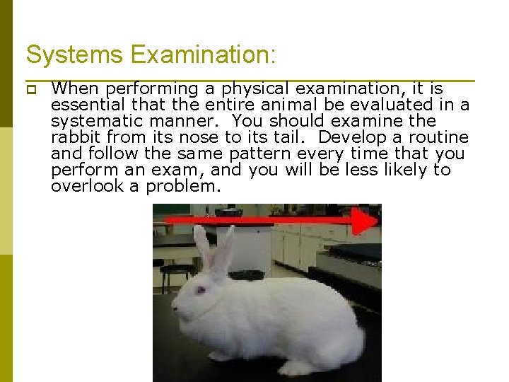 Systems Examination: p When performing a physical examination, it is essential that the entire