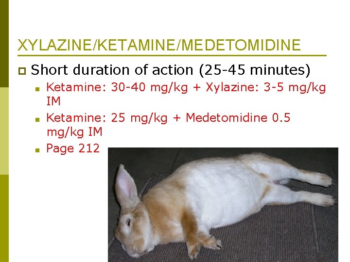 XYLAZINE/KETAMINE/MEDETOMIDINE p Short duration of action (25 -45 minutes) ■ ■ ■ Ketamine: 30