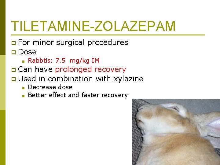 TILETAMINE-ZOLAZEPAM For minor surgical procedures p Dose p ■ Rabbtis: 7. 5 mg/kg IM