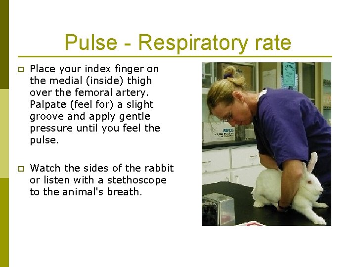 Pulse - Respiratory rate p Place your index finger on the medial (inside) thigh