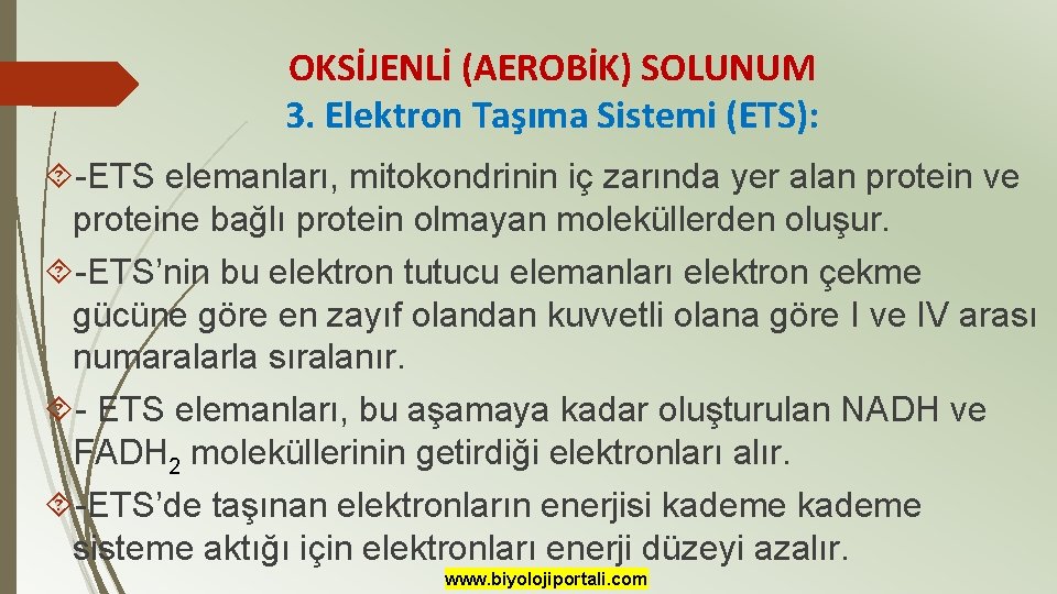 OKSİJENLİ (AEROBİK) SOLUNUM 3. Elektron Taşıma Sistemi (ETS): -ETS elemanları, mitokondrinin iç zarında yer