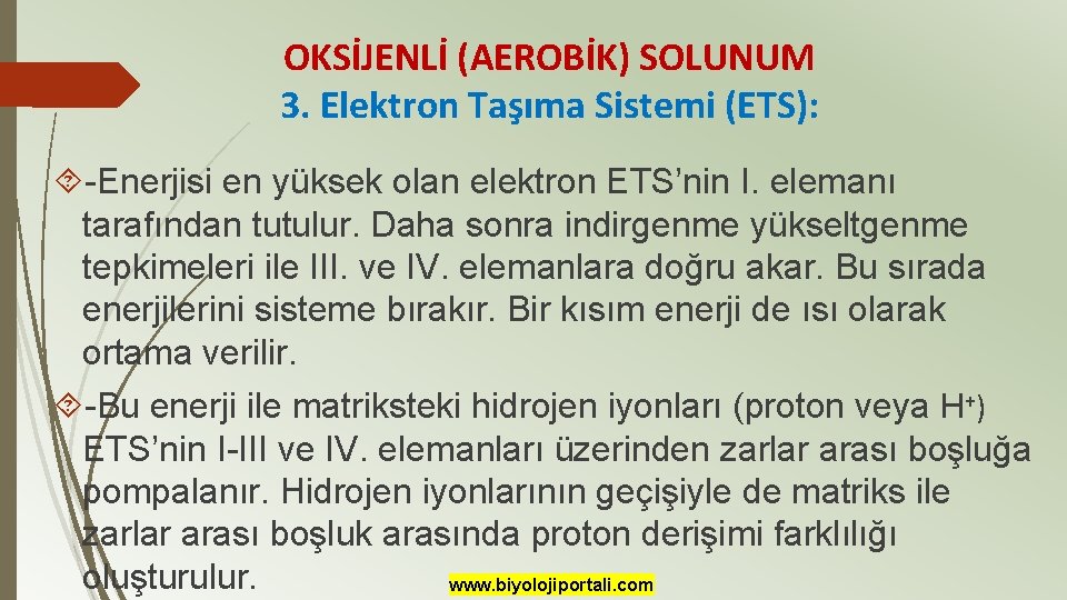 OKSİJENLİ (AEROBİK) SOLUNUM 3. Elektron Taşıma Sistemi (ETS): -Enerjisi en yüksek olan elektron ETS’nin