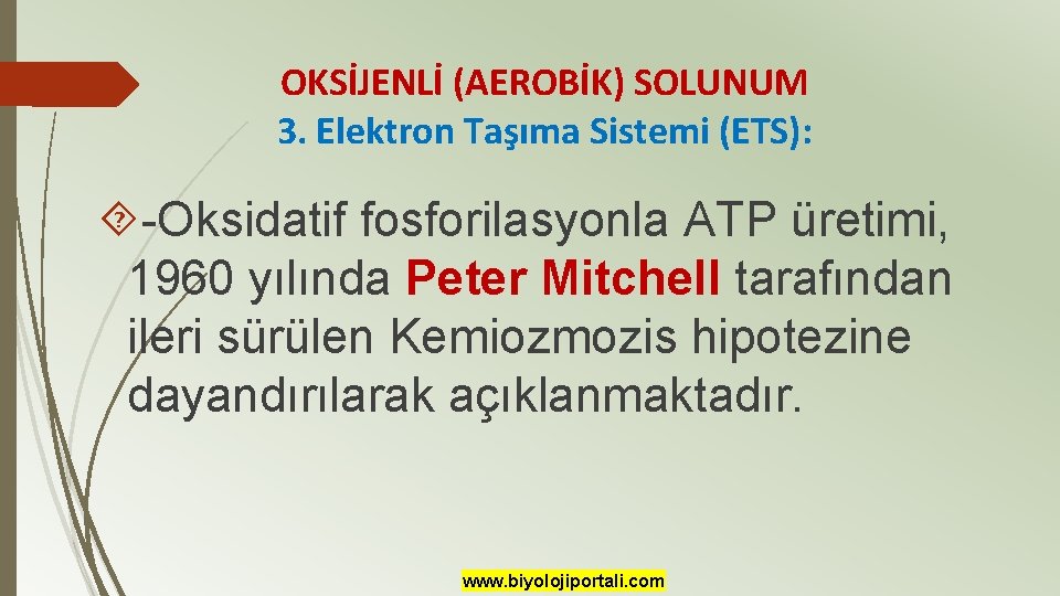 OKSİJENLİ (AEROBİK) SOLUNUM 3. Elektron Taşıma Sistemi (ETS): -Oksidatif fosforilasyonla ATP üretimi, 1960 yılında