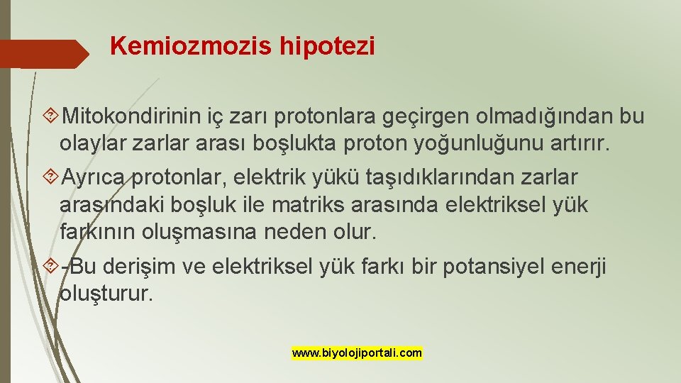 Kemiozmozis hipotezi Mitokondirinin iç zarı protonlara geçirgen olmadığından bu olaylar zarlar arası boşlukta proton