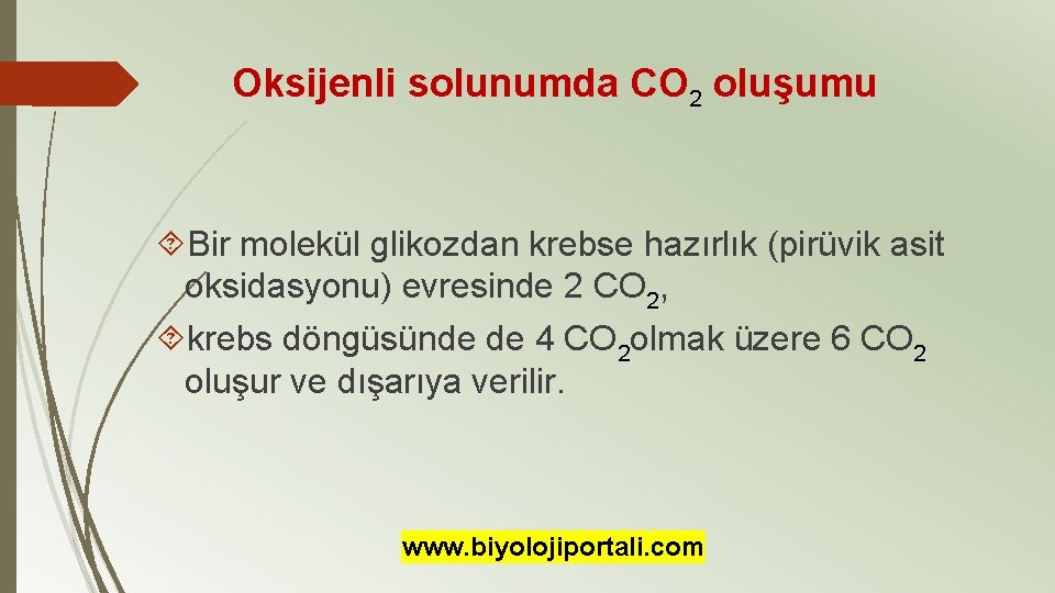 Oksijenli solunumda CO 2 oluşumu Bir molekül glikozdan krebse hazırlık (pirüvik asit oksidasyonu) evresinde