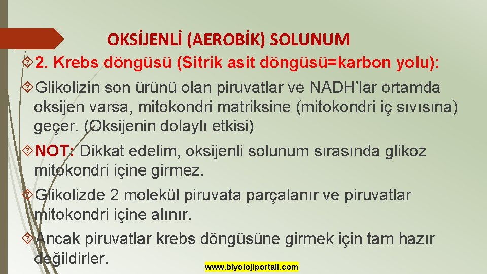 OKSİJENLİ (AEROBİK) SOLUNUM 2. Krebs döngüsü (Sitrik asit döngüsü=karbon yolu): Glikolizin son ürünü olan