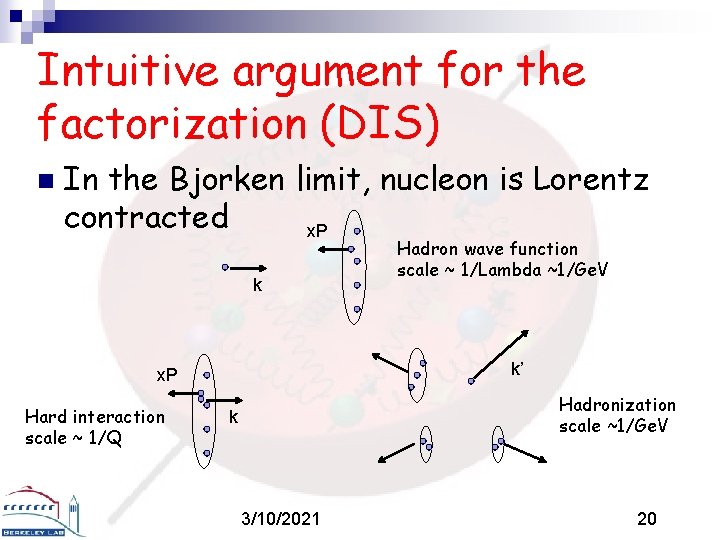 Intuitive argument for the factorization (DIS) n In the Bjorken limit, nucleon is Lorentz