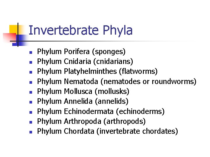 Invertebrate Phyla n n n n n Phylum Phylum Phylum Porifera (sponges) Cnidaria (cnidarians)