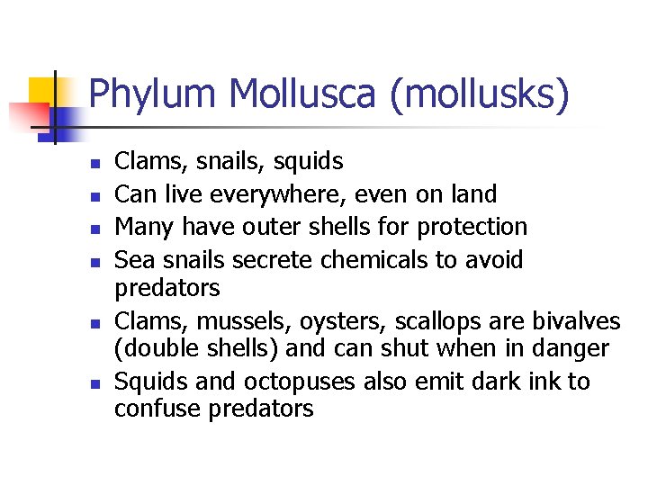 Phylum Mollusca (mollusks) n n n Clams, snails, squids Can live everywhere, even on