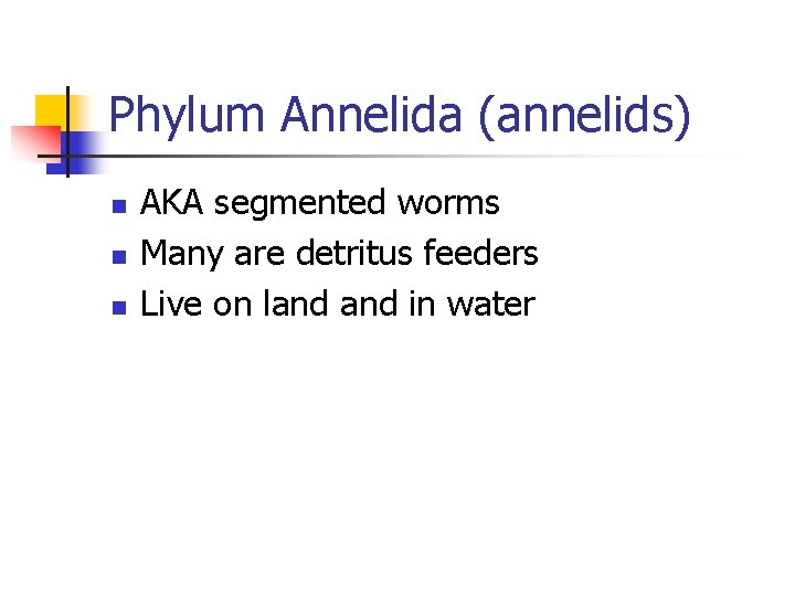 Phylum Annelida (annelids) n n n AKA segmented worms Many are detritus feeders Live