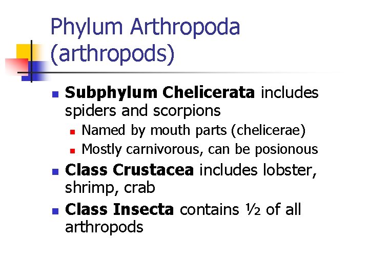 Phylum Arthropoda (arthropods) n Subphylum Chelicerata includes spiders and scorpions n n Named by