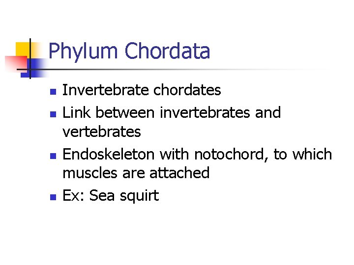 Phylum Chordata n n Invertebrate chordates Link between invertebrates and vertebrates Endoskeleton with notochord,