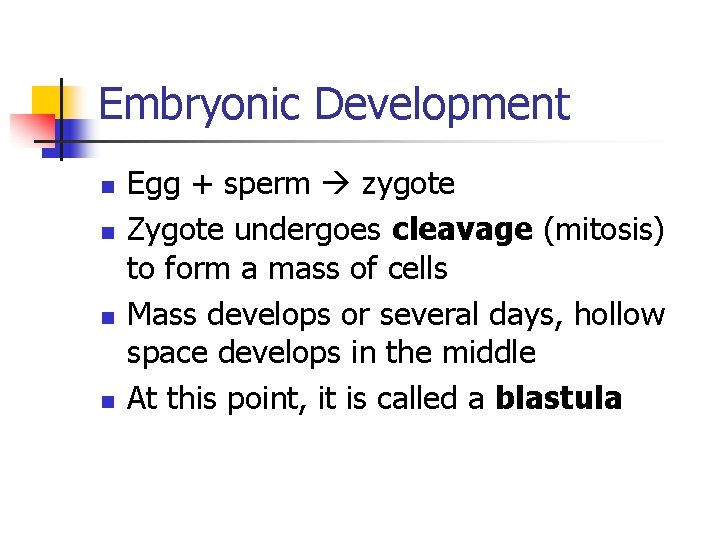 Embryonic Development n n Egg + sperm zygote Zygote undergoes cleavage (mitosis) to form