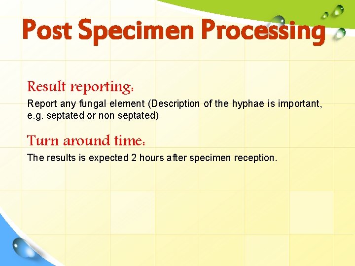 Post Specimen Processing Result reporting: Report any fungal element (Description of the hyphae is