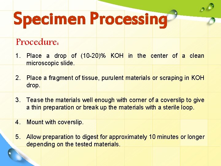 Specimen Processing Procedure: 1. Place a drop of (10 -20)% KOH in the center