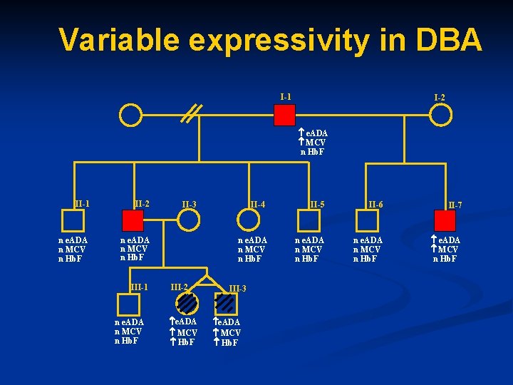 Variable expressivity in DBA I-1 I-2 e. ADA MCV n Hb. F II-1 II-2