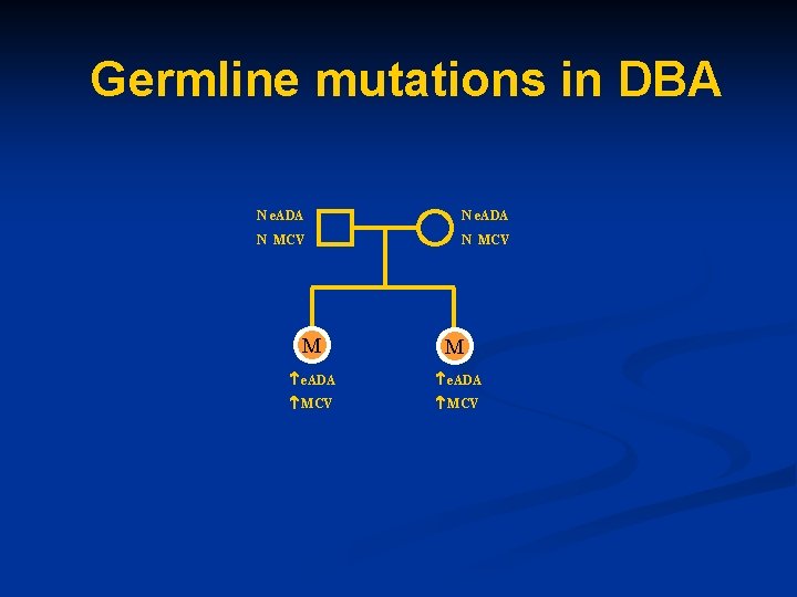 Germline mutations in DBA N e. ADA N MCV M M e. ADA MCV