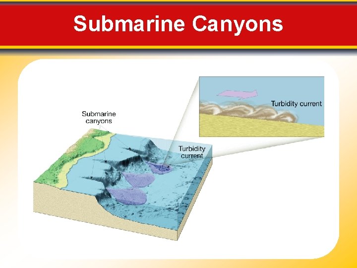 Submarine Canyons 