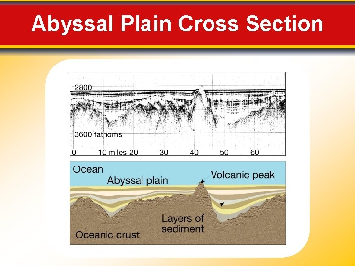 Abyssal Plain Cross Section 