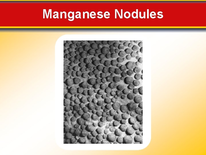 Manganese Nodules 