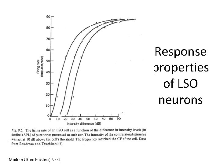Response properties of LSO neurons Modified from Pickles (1988) 