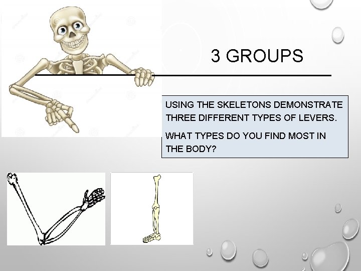 3 GROUPS USING THE SKELETONS DEMONSTRATE THREE DIFFERENT TYPES OF LEVERS. WHAT TYPES DO