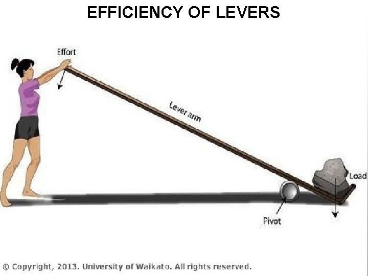 EFFICIENCY OF LEVERS EFFICIENCY OF LEVERS