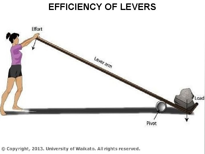 EFFICIENCY OF LEVERS 