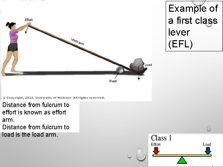 Example of a first class lever (EFL) Distance from fulcrum to effort is known