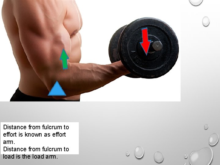 Distance from fulcrum to effort is known as effort arm. Distance from fulcrum to