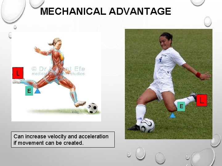 MECHANICAL ADVANTAGE E E Can increase velocity and acceleration if movement can be created.