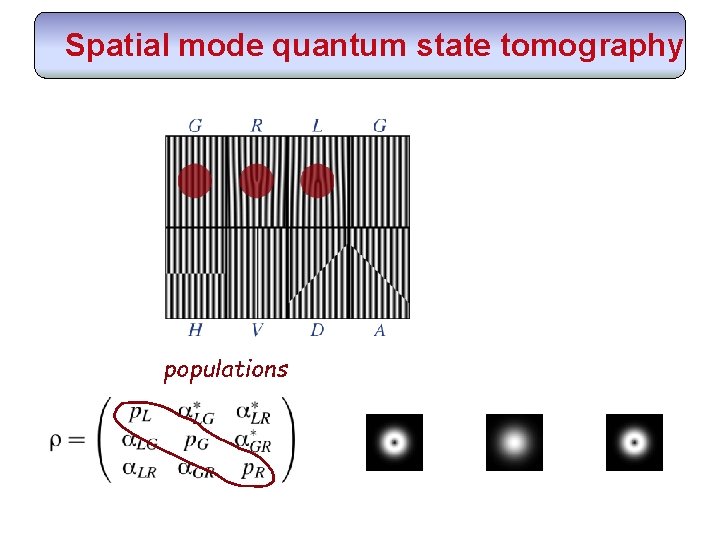 Spatial mode quantum state tomography populations 