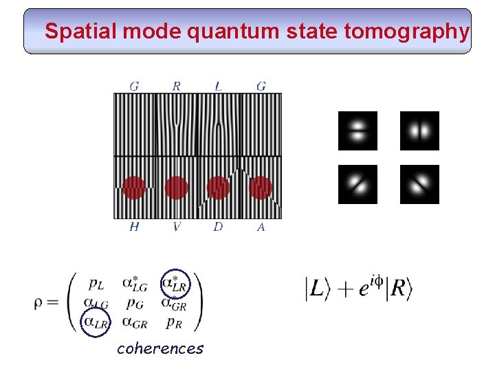 Spatial mode quantum state tomography coherences 