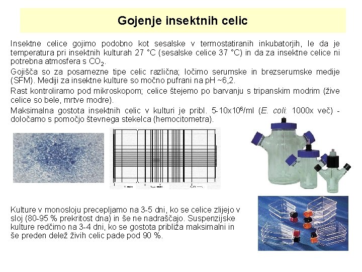 Gojenje insektnih celic Insektne celice gojimo podobno kot sesalske v termostatiranih inkubatorjih, le da