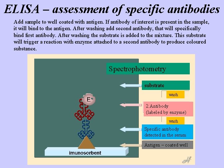 ELISA – assessment of specific antibodies Add sample to well coated with antigen. If