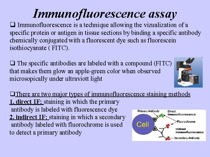 Immunofluorescence assay q Immunofluorescence is a technique allowing the vizualization of a specific protein