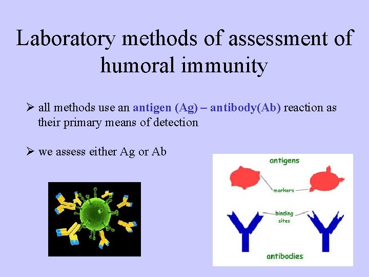 Laboratory methods of assessment of humoral immunity Ø all methods use an antigen (Ag)