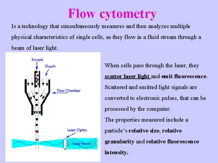 Flow cytometry Is a technology that simoultaneously measures and then analyzes multiple physical characteristics