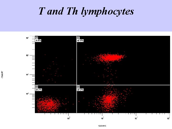 T and Th lymphocytes 