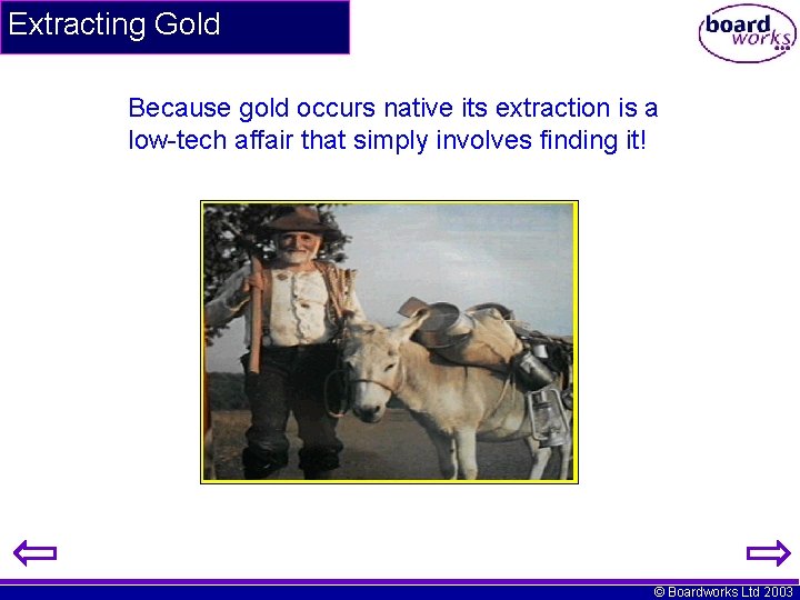 Extracting Gold Because gold occurs native its extraction is a low-tech affair that simply
