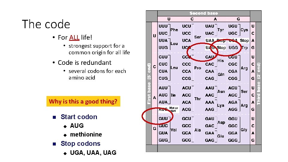 The code • For ALL life! • strongest support for a common origin for The code • For ALL life! • strongest support for a common origin for
