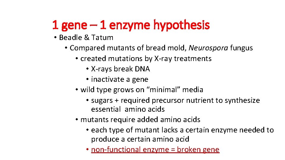 1 gene – 1 enzyme hypothesis • Beadle & Tatum • Compared mutants of