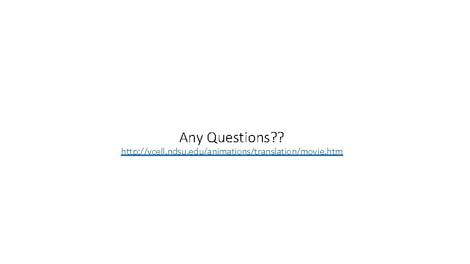Any Questions? ? http: //vcell. ndsu. edu/animations/translation/movie. htm Any Questions? ? http: //vcell. ndsu. edu/animations/translation/movie. htm