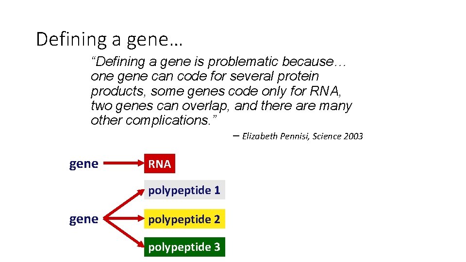 Defining a gene… “Defining a gene is problematic because… one gene can code for