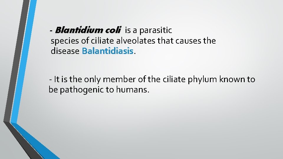 - Blantidium coli is a parasitic species of ciliate alveolates that causes the disease
