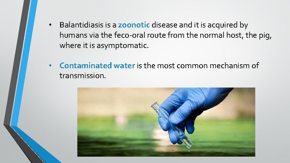  • Balantidiasis is a zoonotic disease and it is acquired by humans via