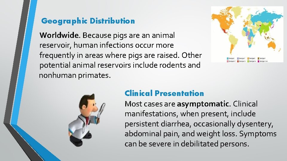 Geographic Distribution Worldwide. Because pigs are an animal reservoir, human infections occur more frequently